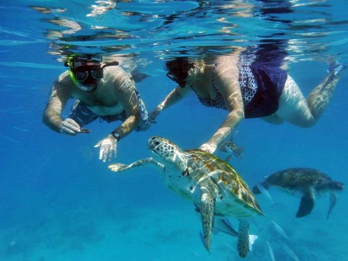 Activities to do in Marsa Alam