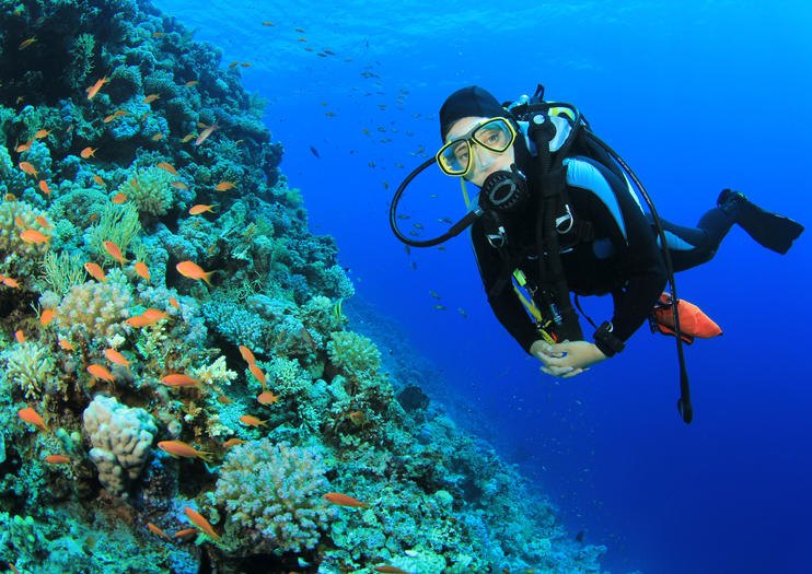 Sharm El Sheikh activities