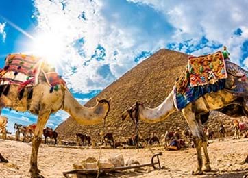 Paseo en camello o caballo en las pirámides